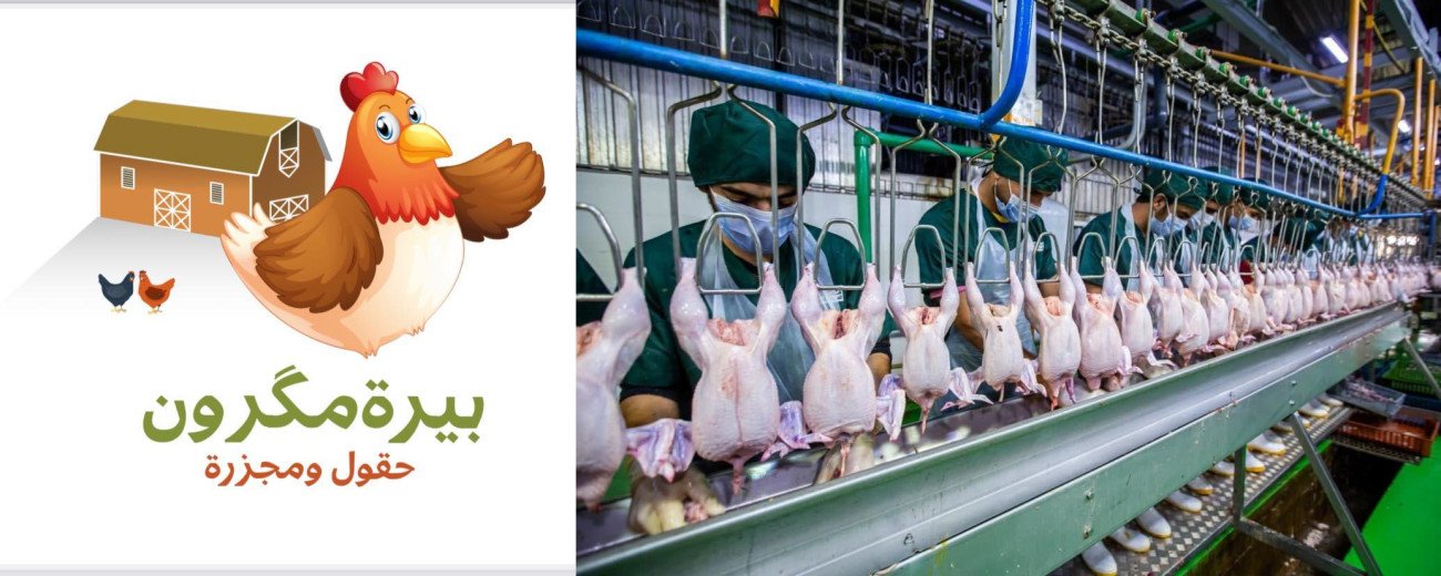 مـذبـحـة دجـاج سـليمانية بيـرمجرون